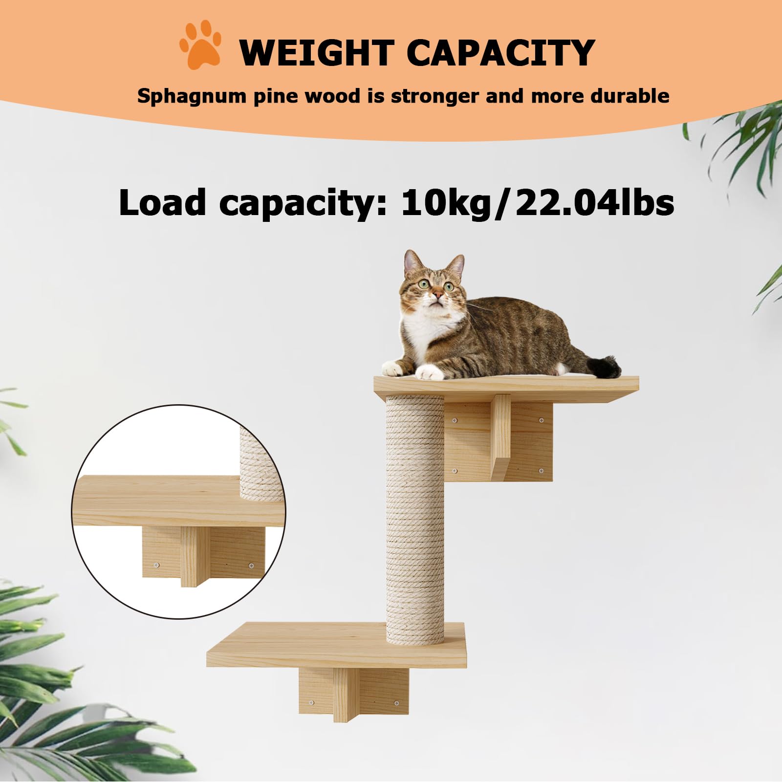 Wandplanken voor katten, set van 5 wandmeubels voor katten, inclusief planken, bestek, ladder, krabpaal en speelhuis om te slapen, te spelen