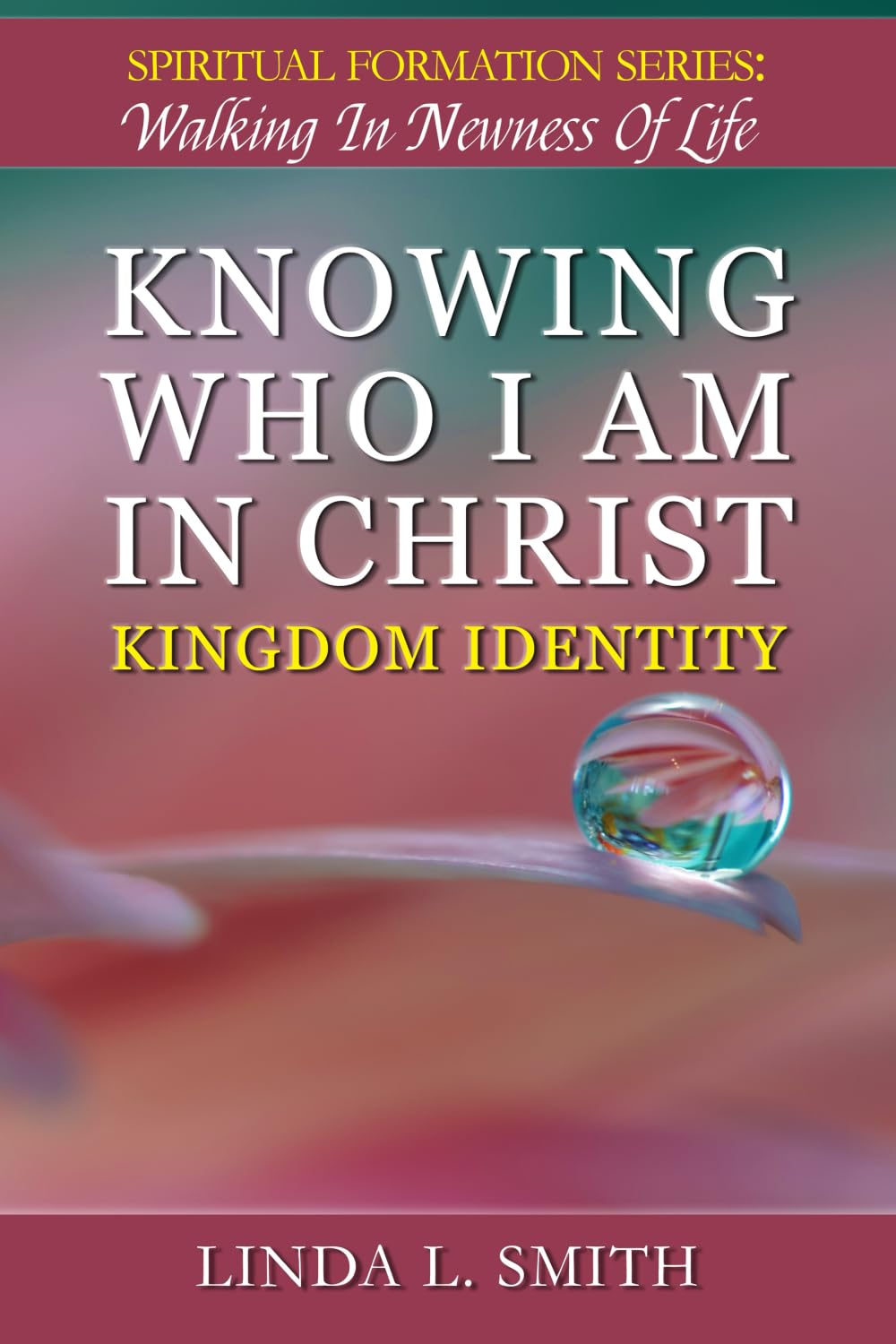 Knowing Who I Am In Christ: Kingdom Identity (Spiritual Formation Series: Walking in Newness of Life)