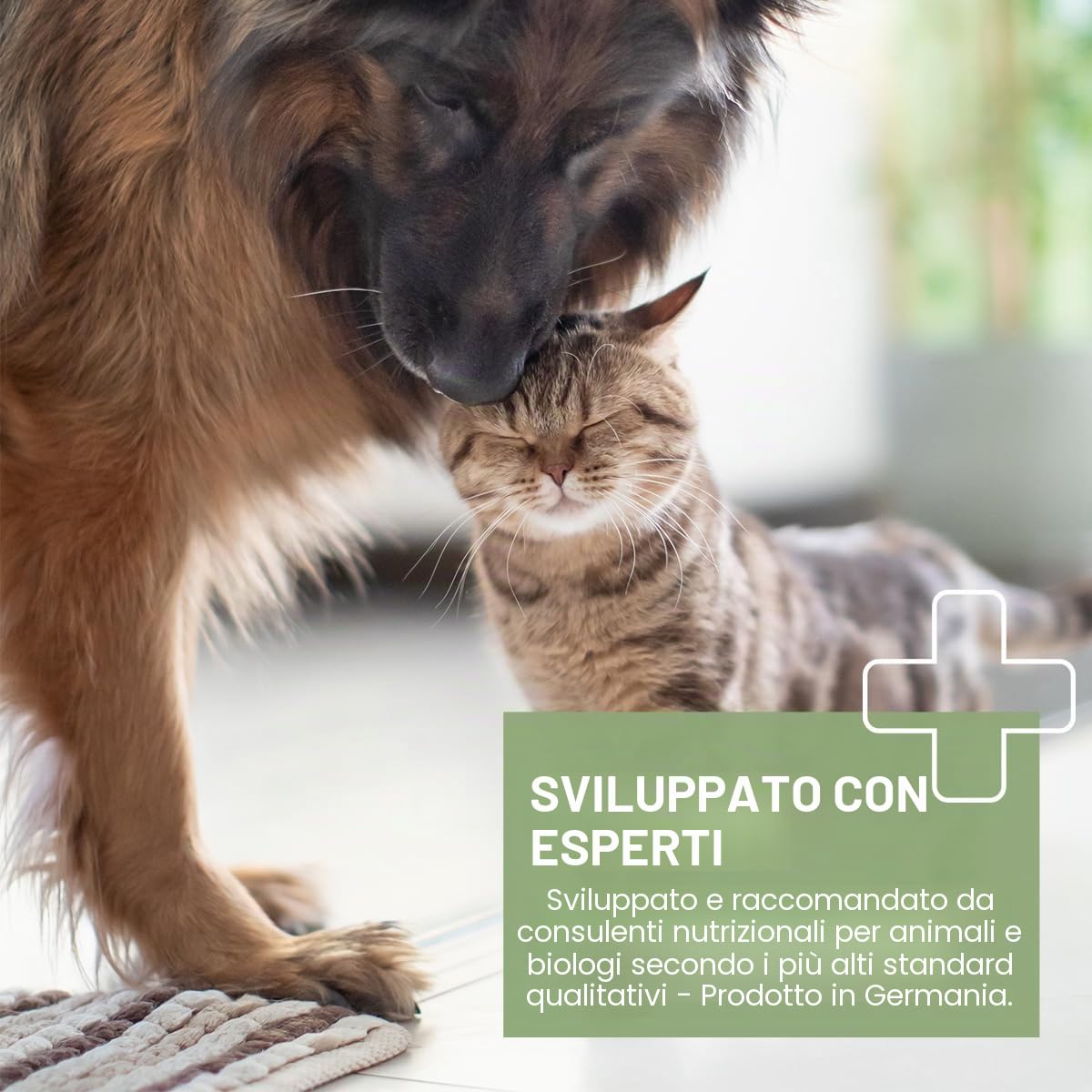 ReaVET Capsule di olio di salmone per cani, 200 pezzi, Omega 3 olio per cani, olio di salmone, capsule per cani, olio di pesce ad alto dosaggio, per uso alimentare