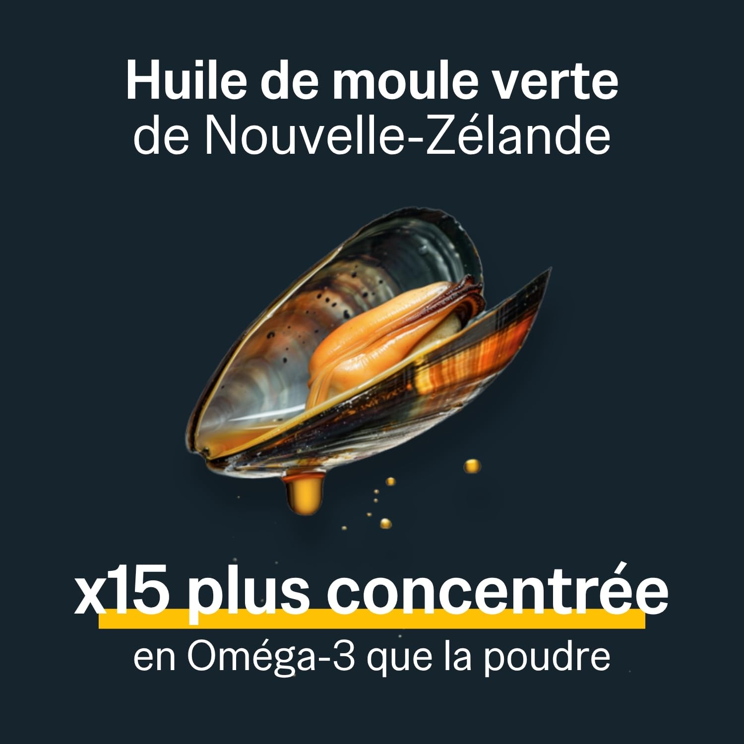 PERNIXOL®420 - Soutien articulaire Chien +20kg - Huile de Moule Verte & Oméga-3 - Mobilité et Confort - Cure 3 Mois (Lot de 3)