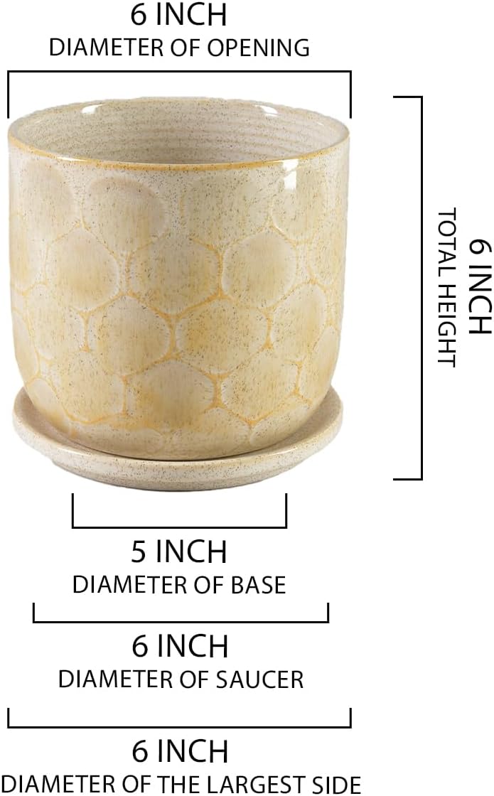 Serene Spaces Living Honeycomb Ceramic Planter with Saucer - Indoor Pot for Plants, Modern & Rustic Home Decor, Perfect for Living Room, Kitchen, Office, 6" Diameter & 6" Tall