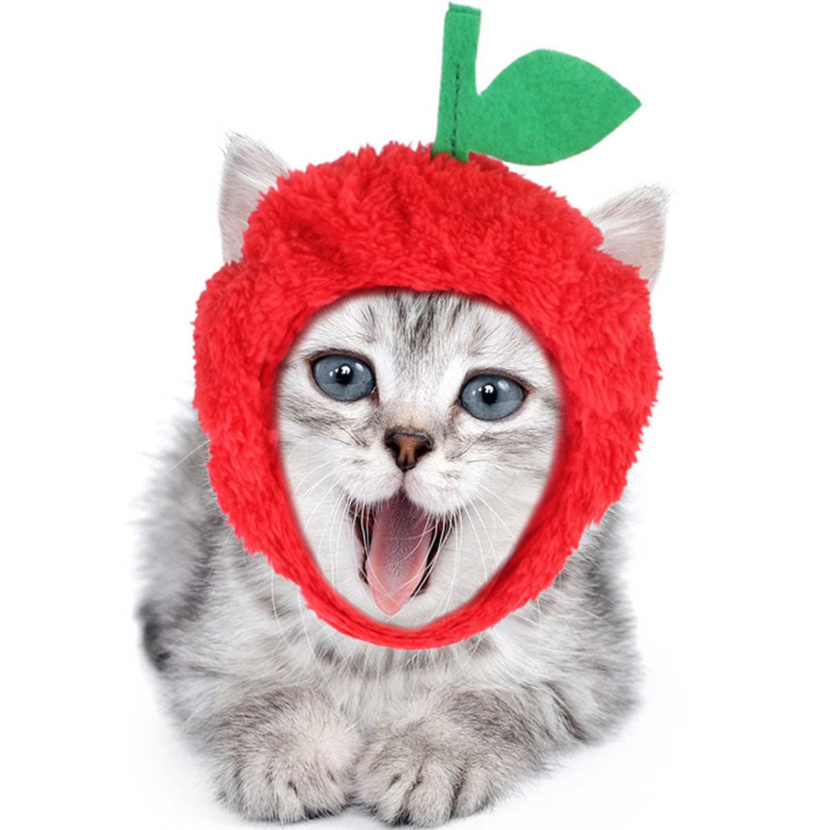 Amazon | 猫 犬 帽子 被り物 コスプレ キャップ りんごのかぶりもの 犬