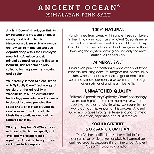 Saltworks Artisan Salt Company Ancient Ocean Himalayan Pink Salt, Fine Grain, Pour Spout Pouch, 16 Ounce #TOP2