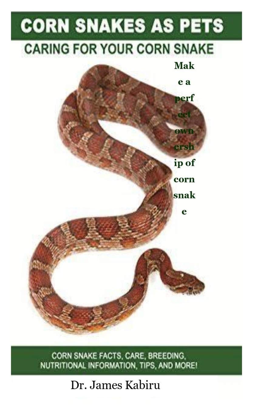 Buy Corn Snake As Pets How To Care For You Corn Snake, tional