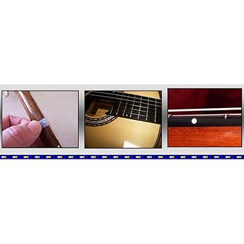 Amazon.co.jp: ROSETTE ロゼット PREMIUM FRET MARKER DOTS
