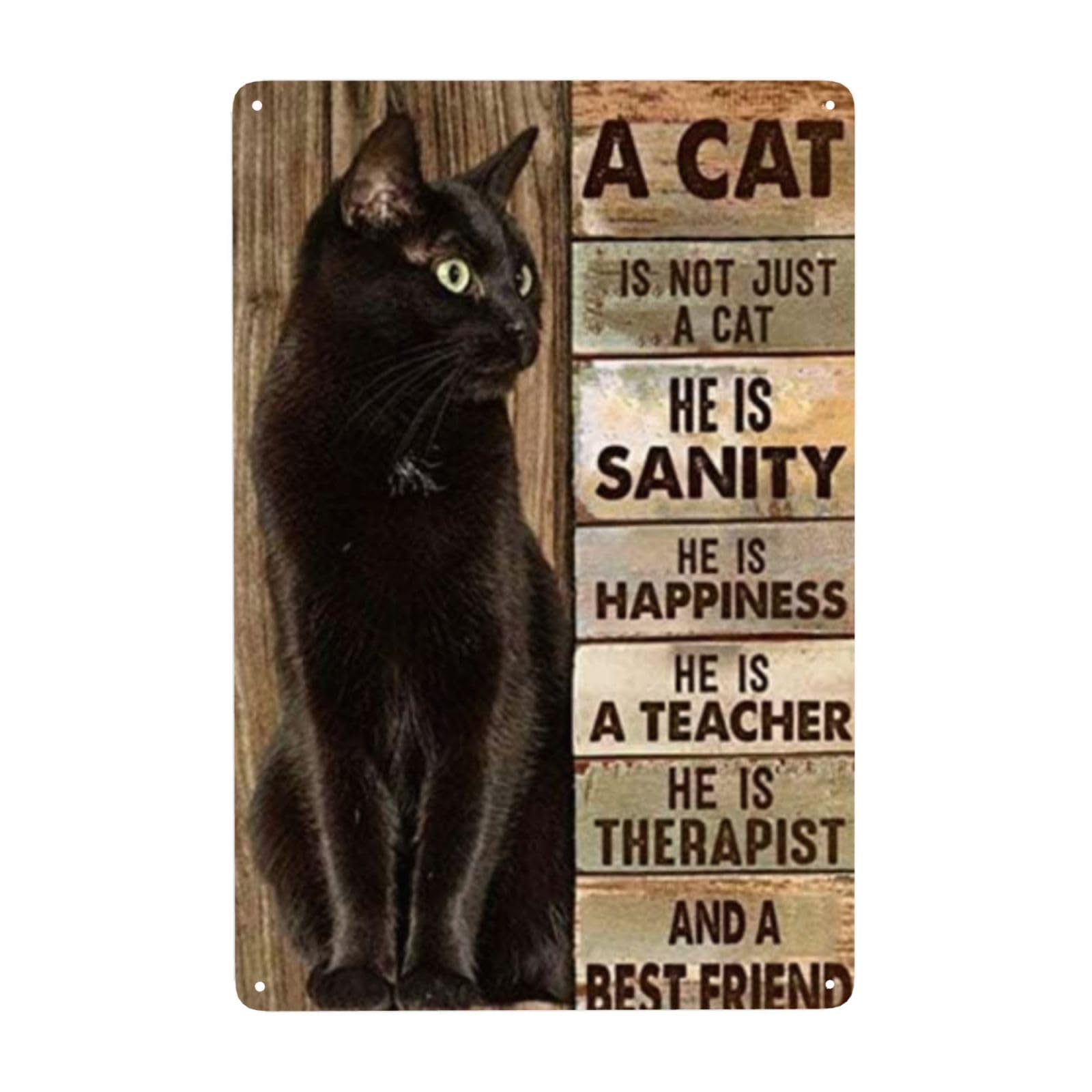 A Cat is Not Just A Cat. Metal logo 30.48cm x 20.32cm Black cat lover home wall decoration