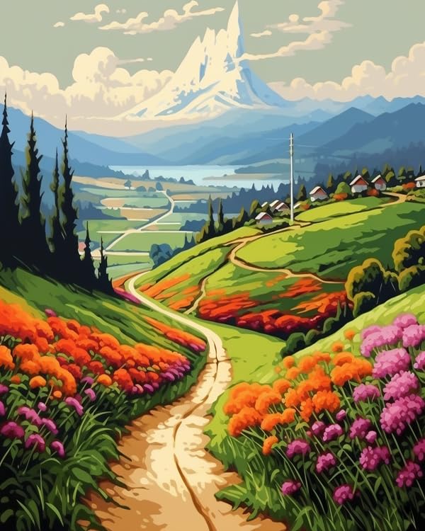 Amazon.com: ZMHZMY Paint by Numbers for Adults Rural Mountain Road