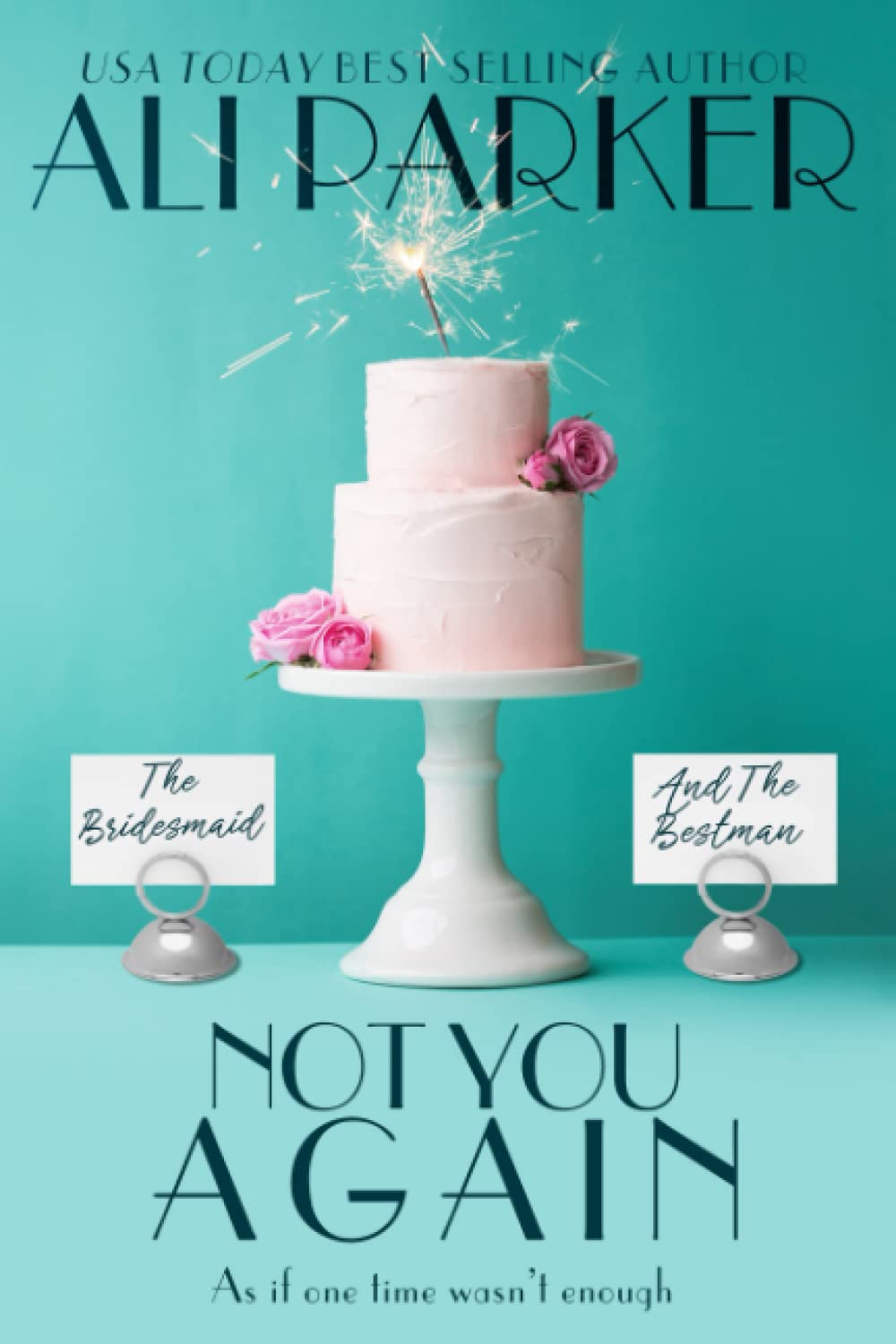 Not You Again (A Not You Again Novel)