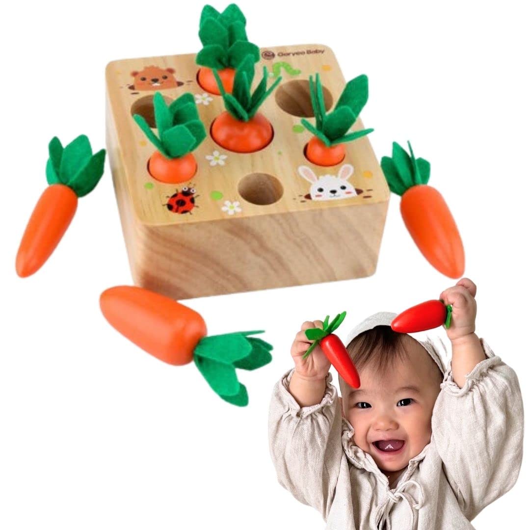 知育玩具 mona 知育玩具 mona 楽天市場】【ブラックフライデー特価＆ポイント5倍