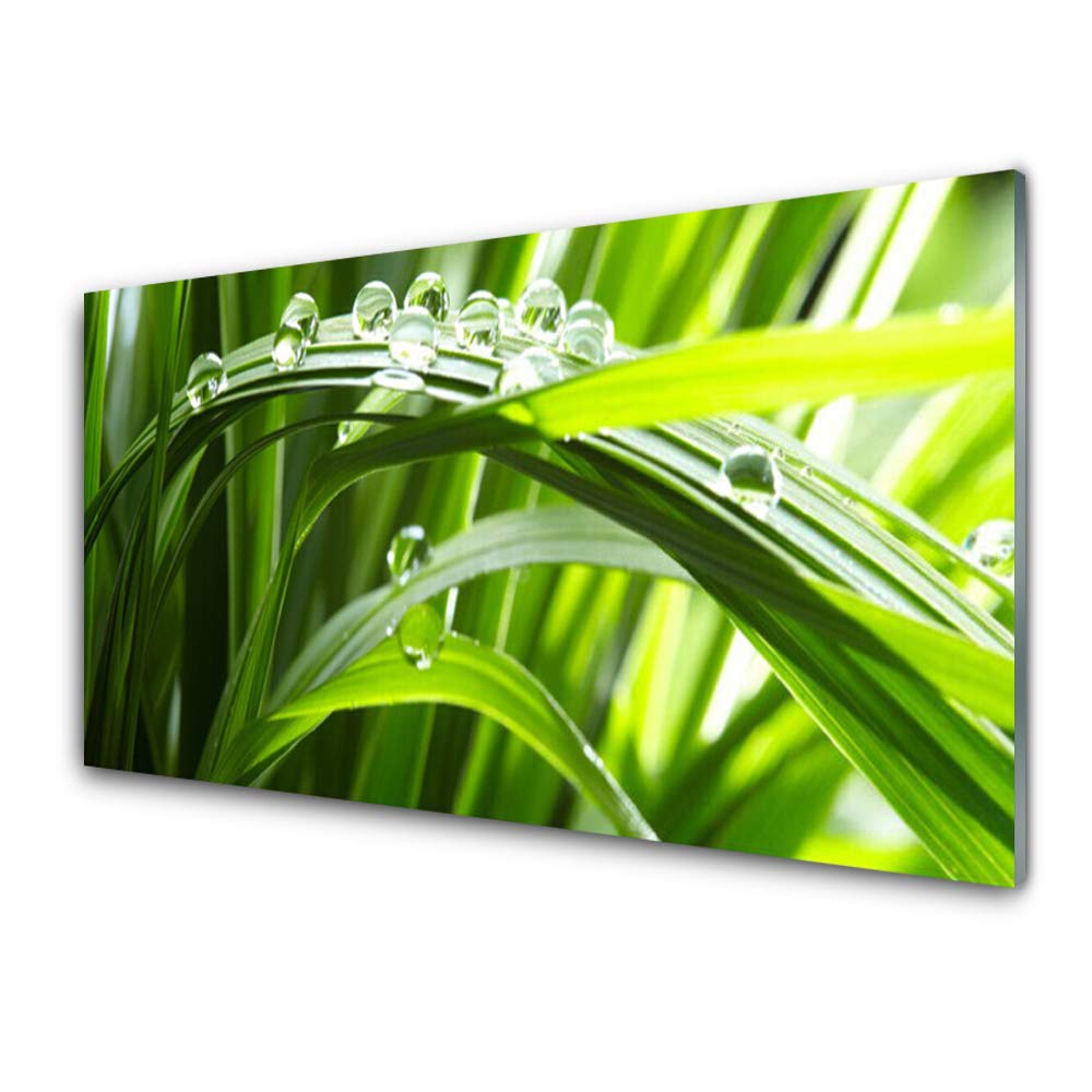 Impression sur verre trempé Tulup l'herbe gouttes d'eau, tableau déco mural moderne haut de gamme
