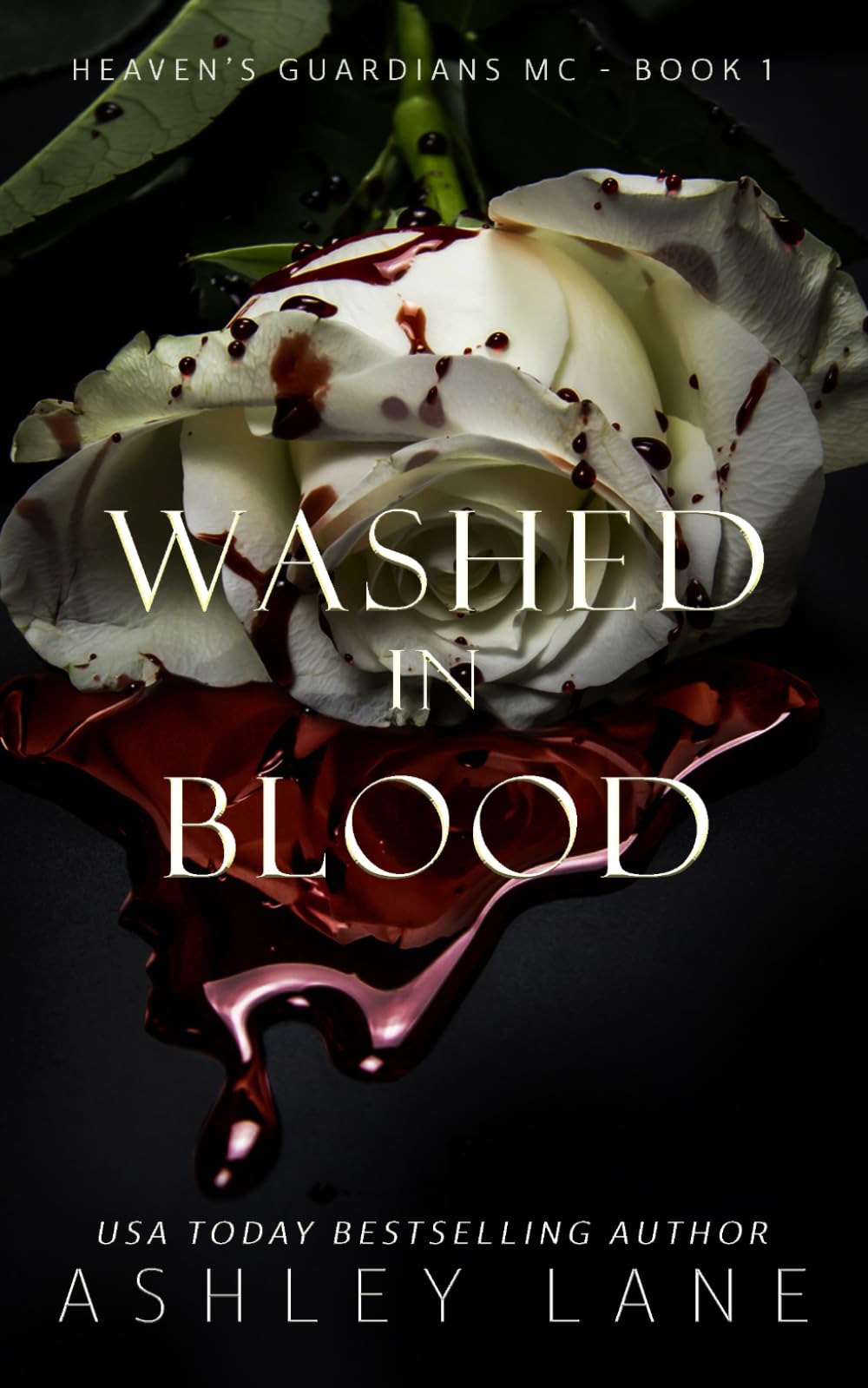 Washed In Blood: 1 (Heaven's Guardians MC)