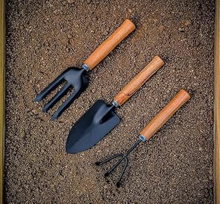 Garden Hand Tools Set, 3 Piece, Wooden Handle, Metal Trowel Fork Cultivator, Black