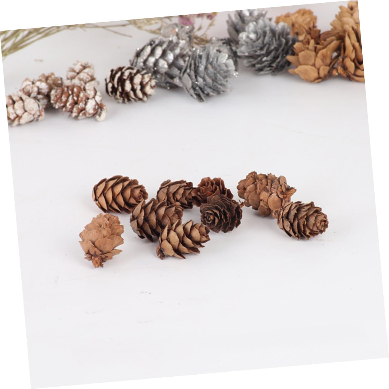 210 Unidades Mini Piñas de Pino Naturales Decoración Rústica para Hogar Navidad Acción de Gracias Manualidades Ornamento Vegetal
