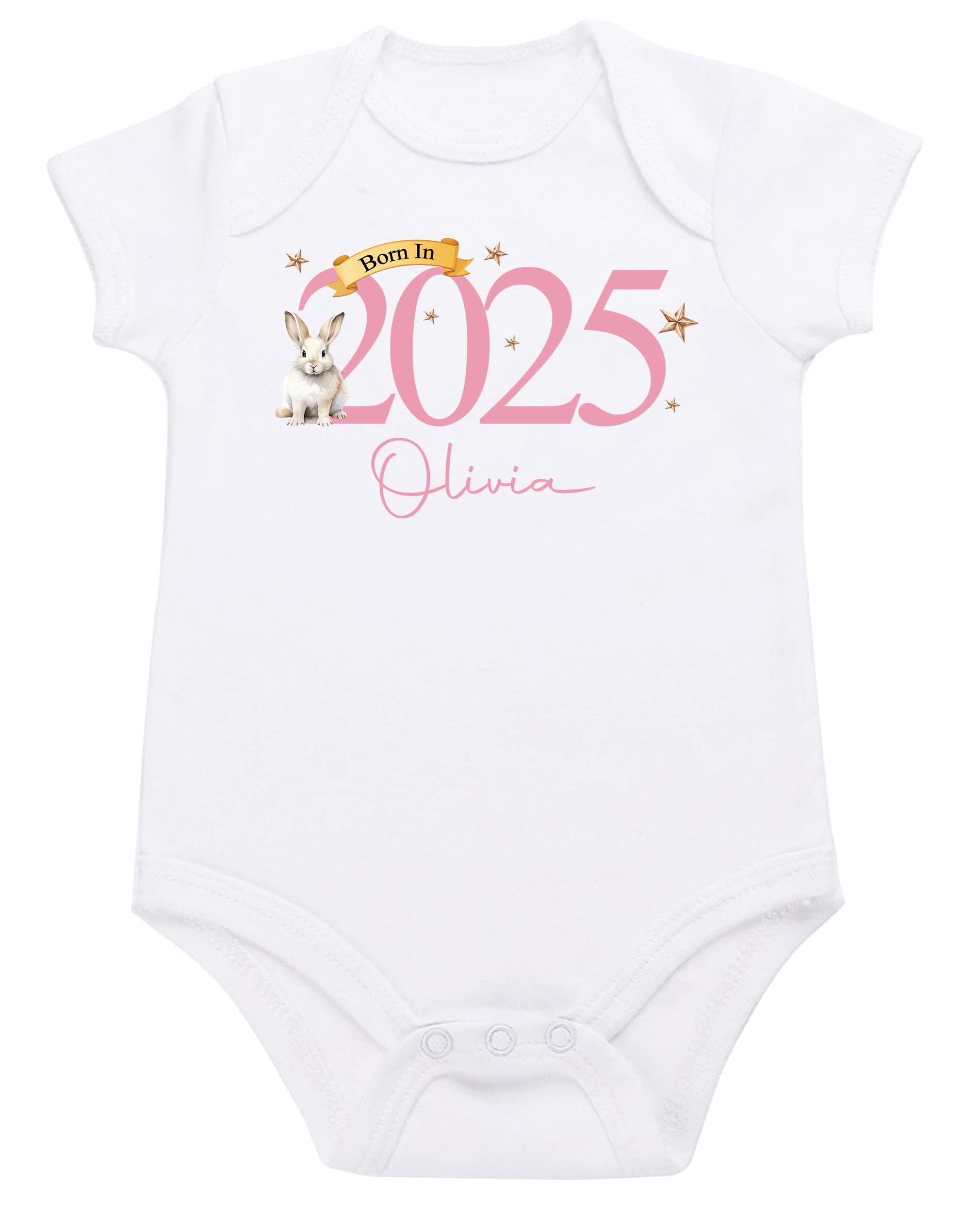 Personalised Baby Born in 2025 Bodysuit Vest (3-6 Months, Pink Bunny)