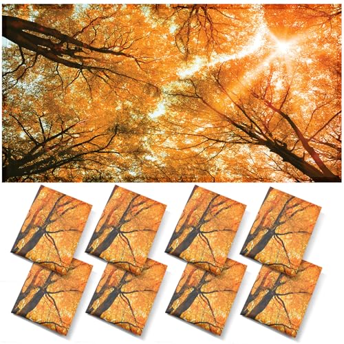 Image of ANGSYLTH 8 Pcs Fluorescent Light Covers - 4 x 2 Feet Covers for Ceiling Lights, 8 x 10 Magnetic Light Filters for Classroom, Office, Hospitals (Autumn & Sunset)