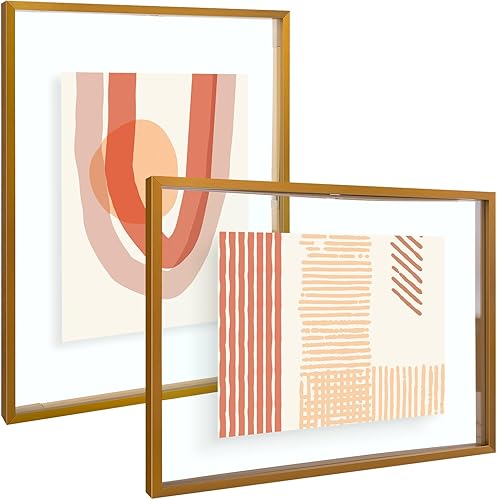 Vista 125 de Frametory, Marco de fotos flotante de 16 x 20 pulgadas, marco de fotos de metal, cristal real, para montaje en pared o mesa (negro, paquete de 2)