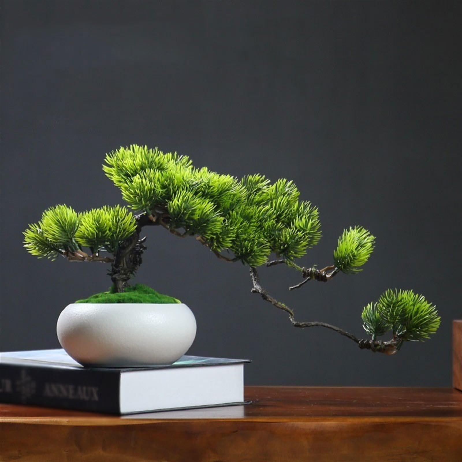 Symulowane rośliny doniczkowe Symulacja zieleni Bonsai Salon Wejście Dekoracje pulpitu Sosna Roślina doniczkowa Dekoracje Małe ozdoby Dekoracje wnętrz