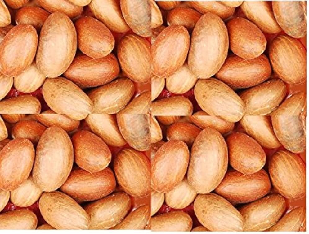 Bitter Kola I Garcinia kola I 100G