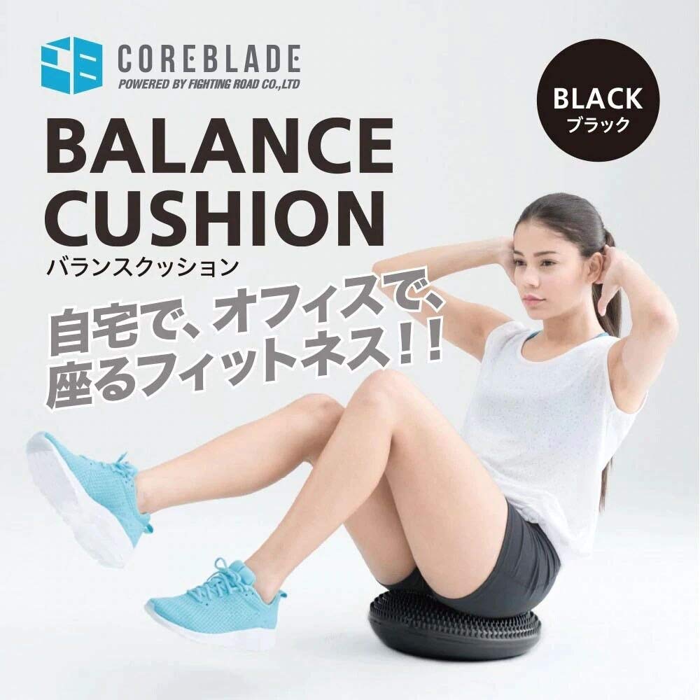 早い者勝ち コアブレード 9kg 2個セット 18kg coreblade