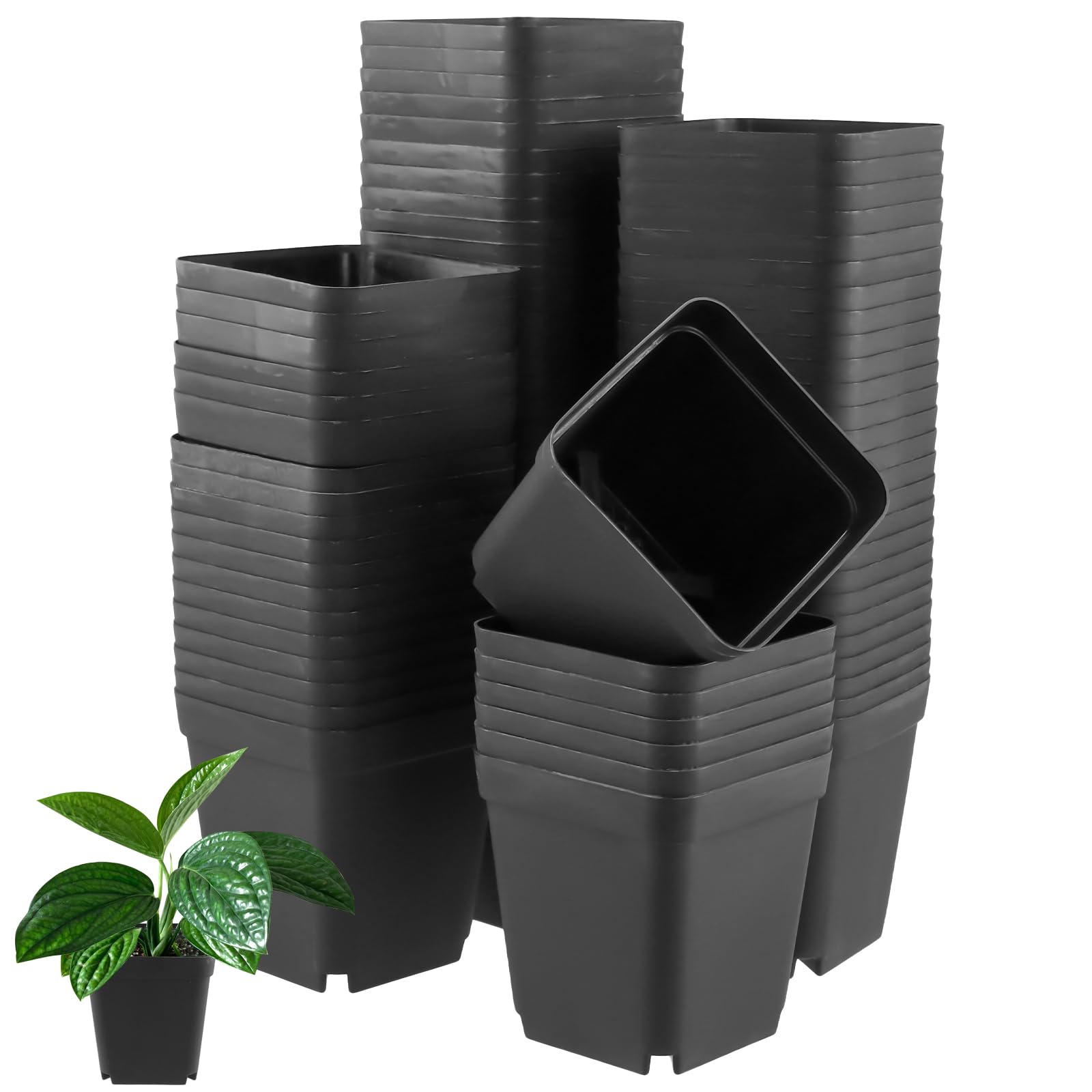 UNGFEI 80 PCS Square Plant Pots, 7cm Plastic Square Plant Nursery Pots for Succulent, Vegetable, Plant, Seedlings, Transplanting