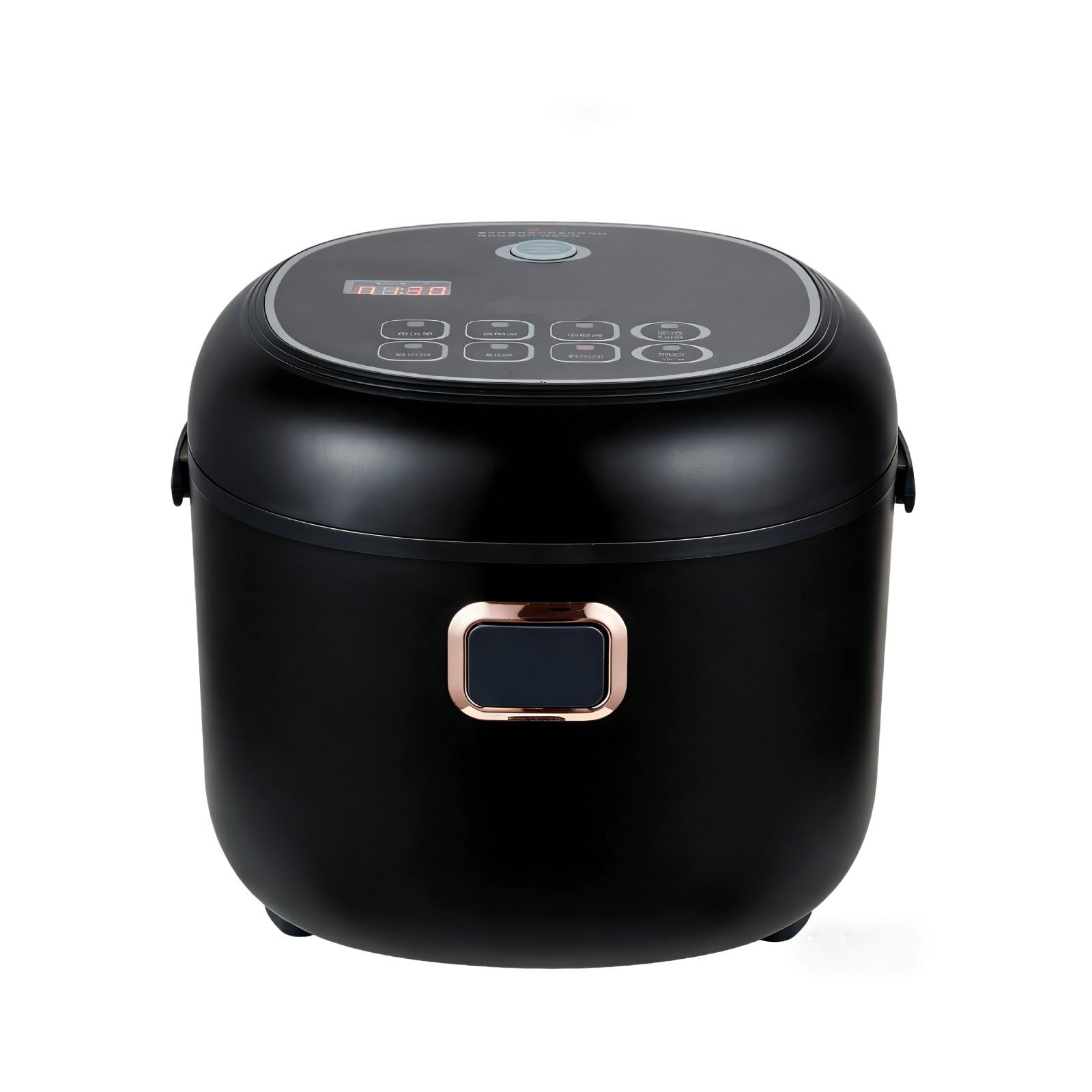 Mini Rice Cooker 2L Electric Lunch Box Food Heater 12V/24V Portable Non-Stick Travel For Car Truck Small Rice Cooker with Steam Tray Cooking Heating and Keeping Warm Function(Black)