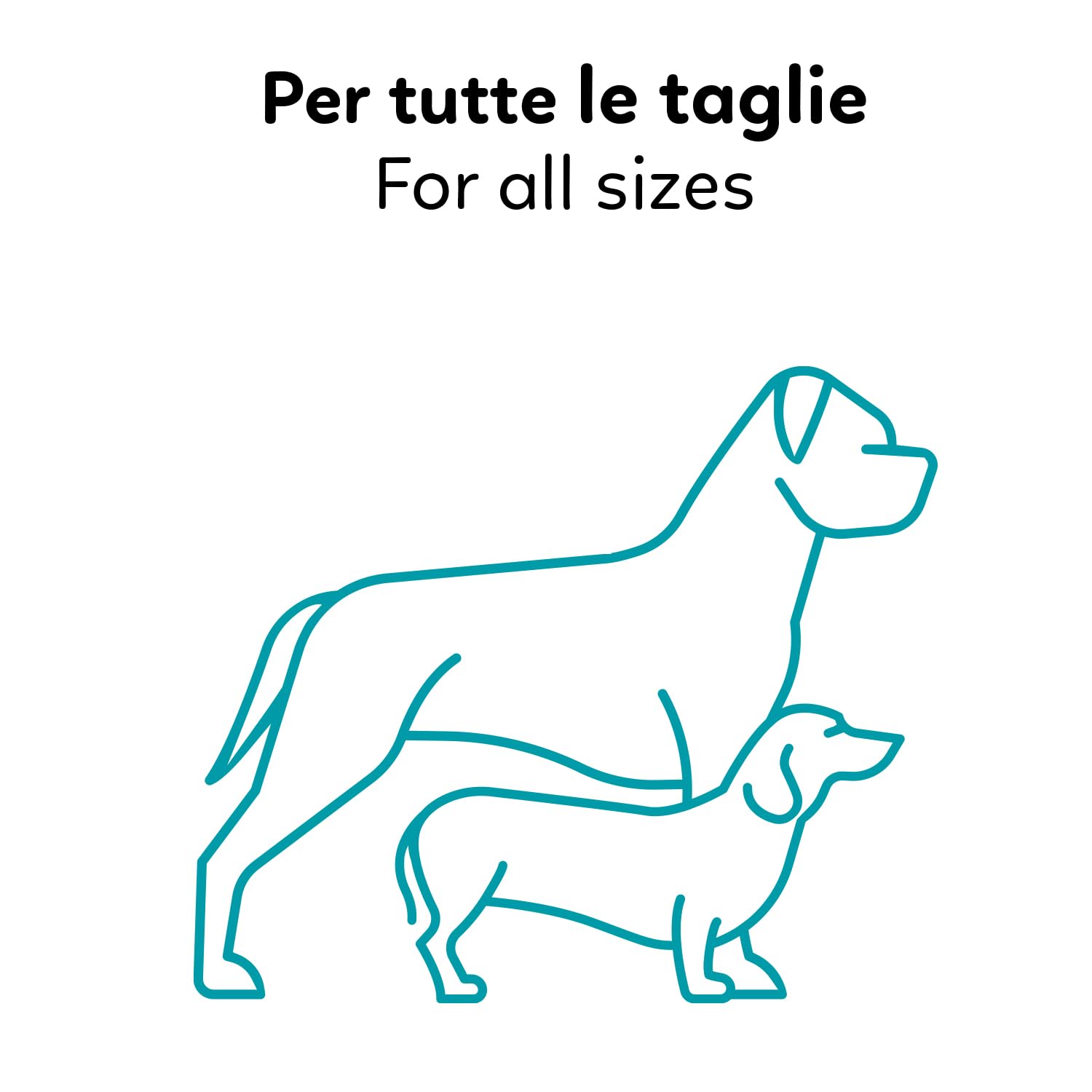 AQPET Tappetini igienici assorbenti Traverse per Animali Domestici Cuccioli Pannolini per Cane, 60x90 cm, 200 Pezzi