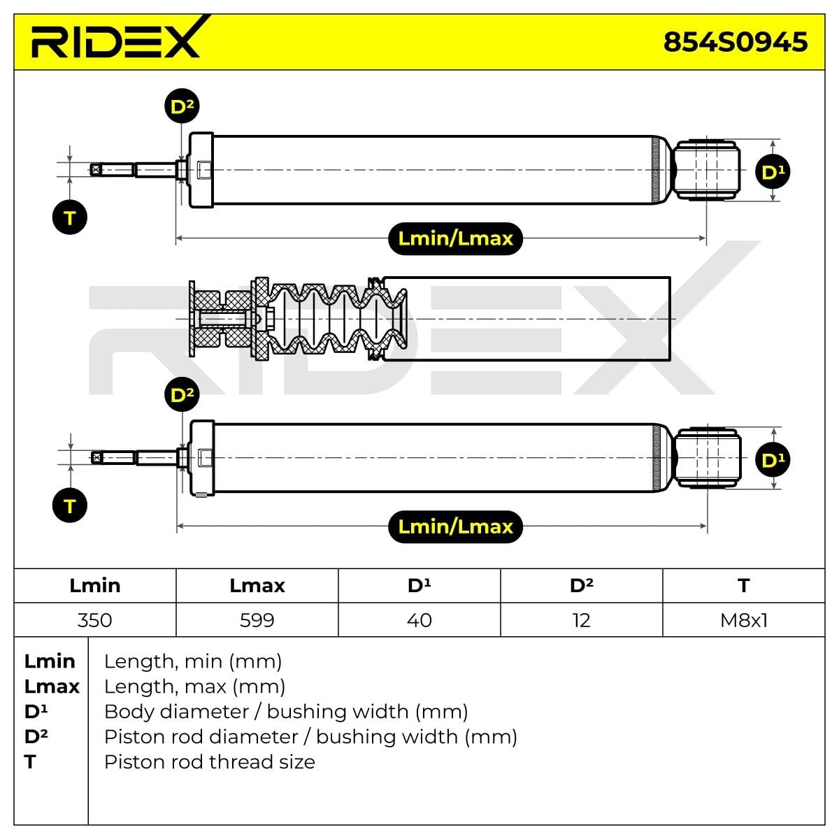 RIDEX 854S0945 2x Ammortizzatore Posteriore Compatibilità con RENAULT Clio III Hatchback BR0/1, CR0/1