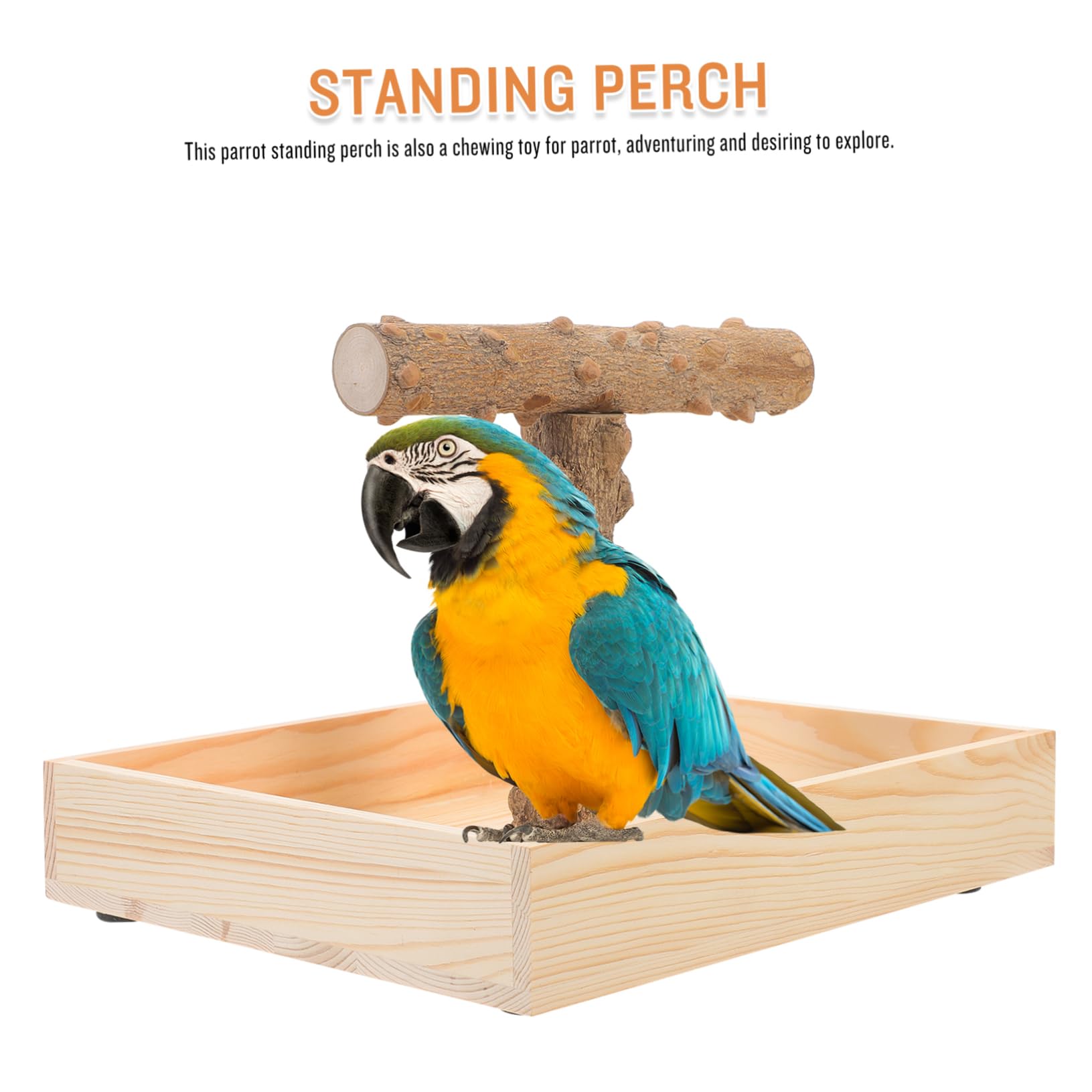Kisangel Vogelständer Natürlichem Parrot Perch Für Käfige Und Tische Sicherer Üben Und Ausruhen Für Nymphensittiche Und Andere Vögel
