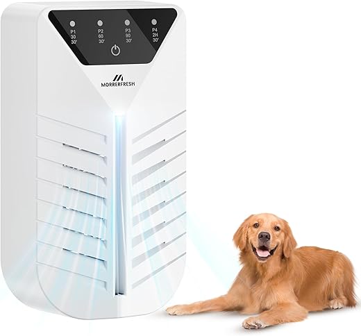 Charcoal Air Ionizers