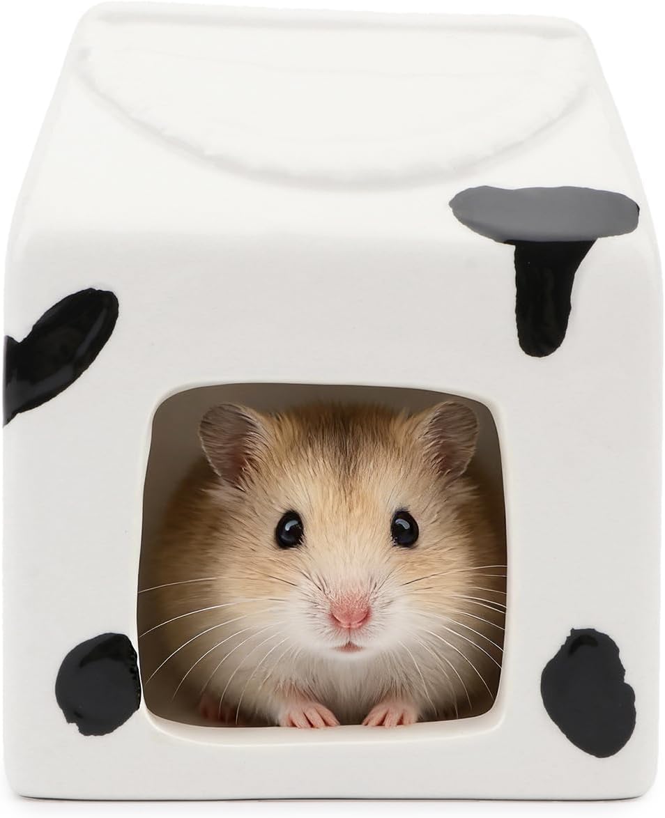 Hypeety Ceramic Hamster Hideout Cool Bed House for Small Pet Habitat White | Natural ceramic hides for all season, for dwarf hamster, easy to clean, cute decor hut, cage accessories, washable, white