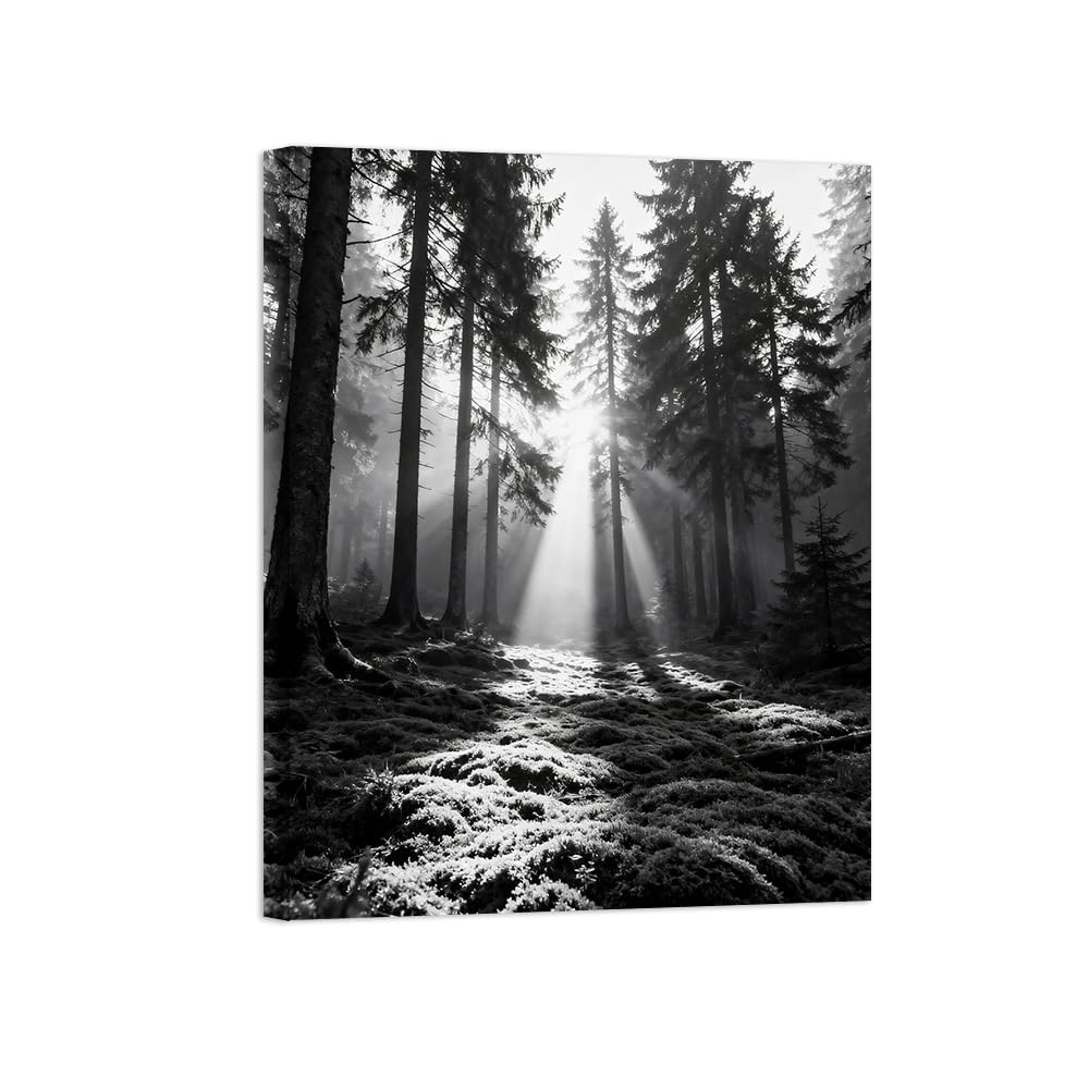 Black White Landscape Wall Art. Tree Sunshine. Picture 90x117cm Unframed
