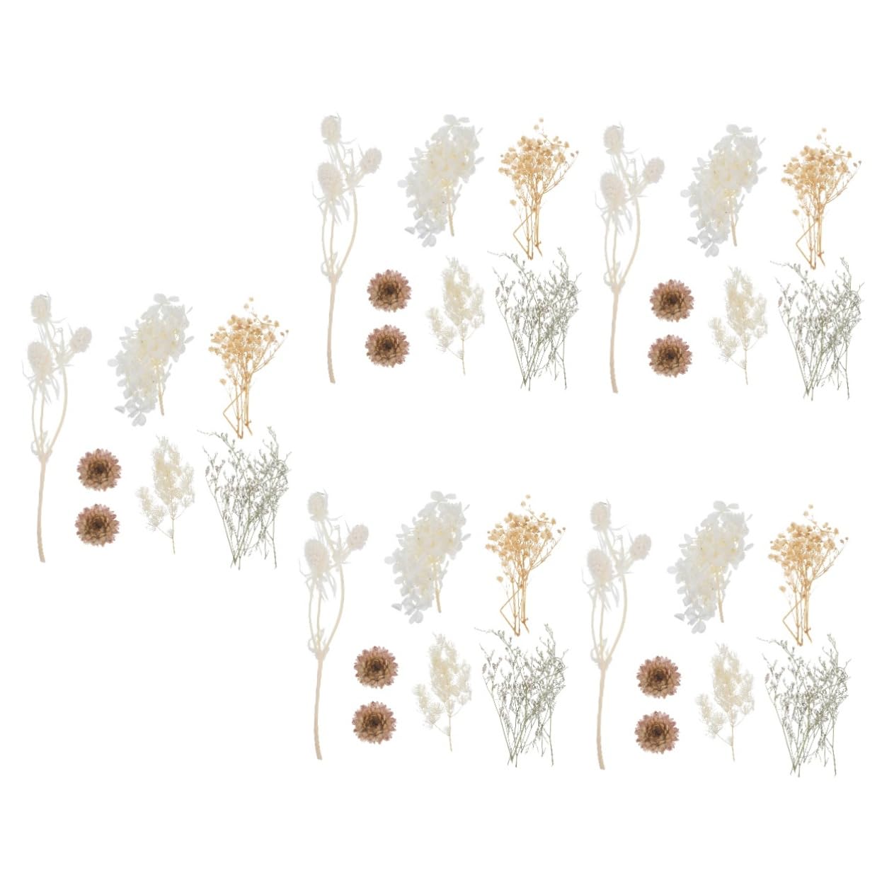 STOBAZA 5sätze Dried Pressed Flowers Für Resin Craft Echte Trockenblumen Für Kerzenherstellung Handyhüllen Karten Und Mehr Leicht Und Pflegeleicht Für Kreative Projekte