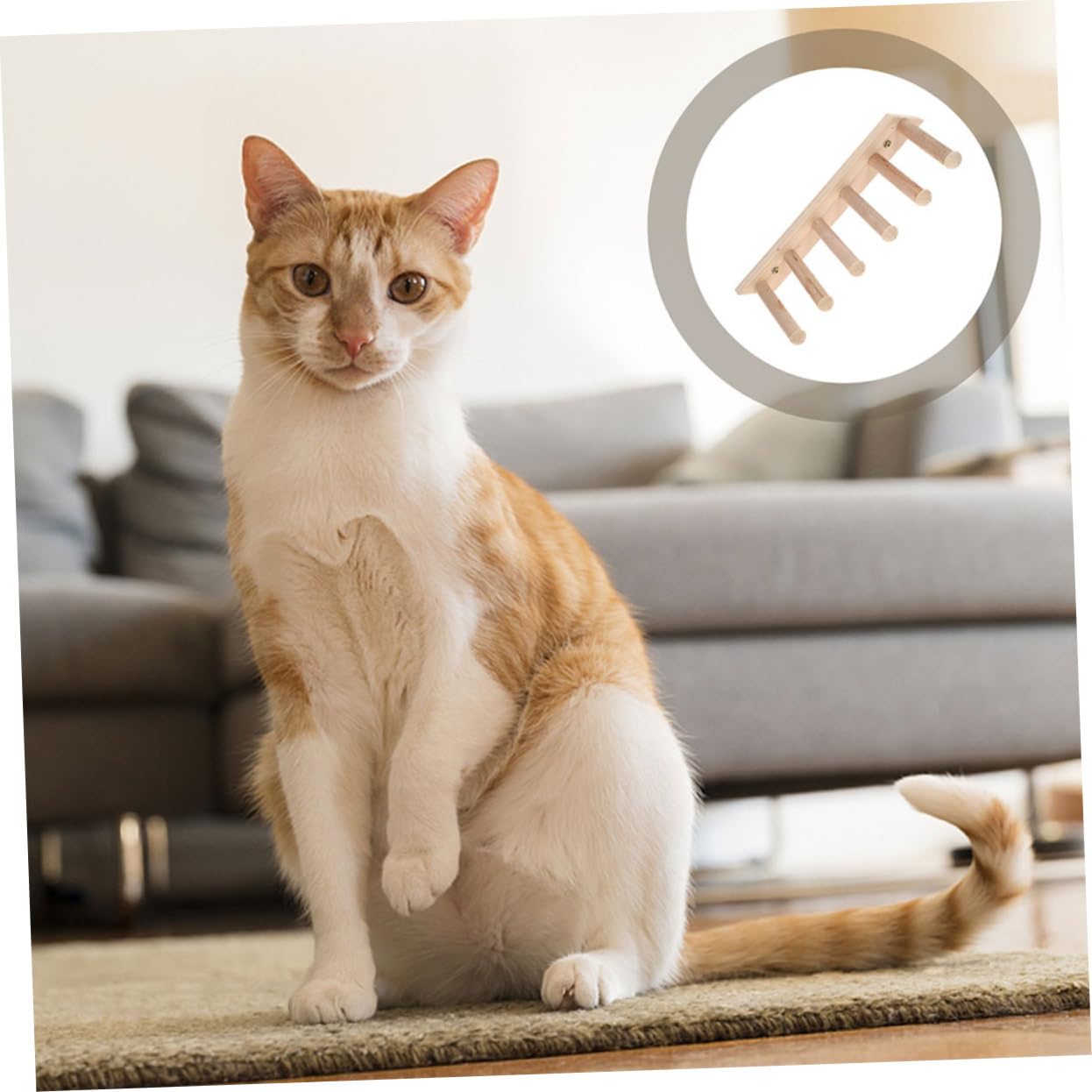 KOMBIUDA Katzenkletterregal mit Mehrstufigem Design aus Kunststoff 2 Stück und Erhöhter Reibung für Sichere Nutzung als Wandmontierte Katzenleiter für Indoor Katzen