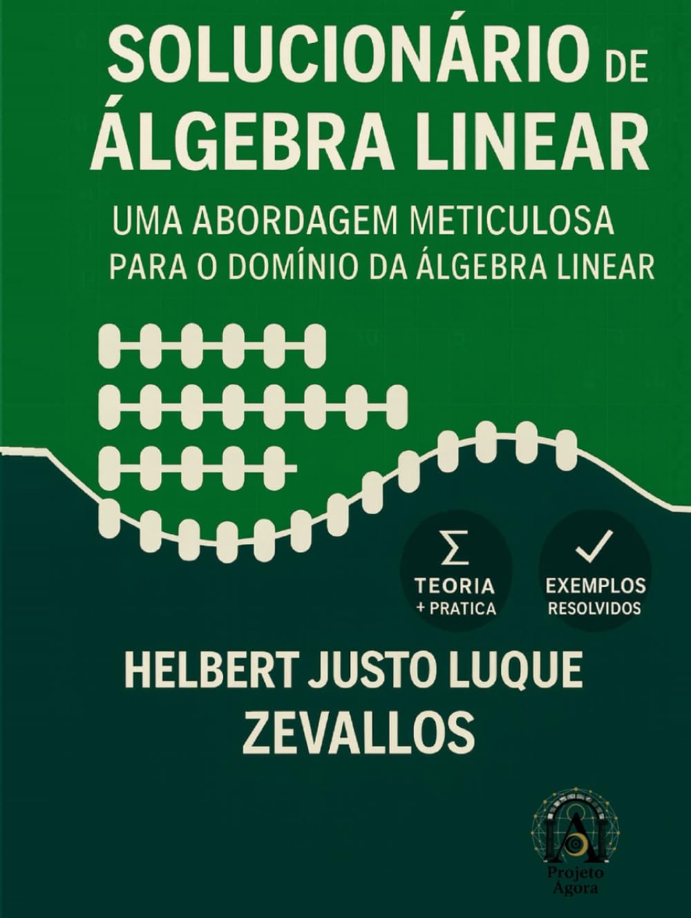 Solucionário de Álgebra Linear: Uma Abordagem Meticulosa para o Domínio da Álgebra Linear (Soluçãorios da Série Licenciatura em Matemática)