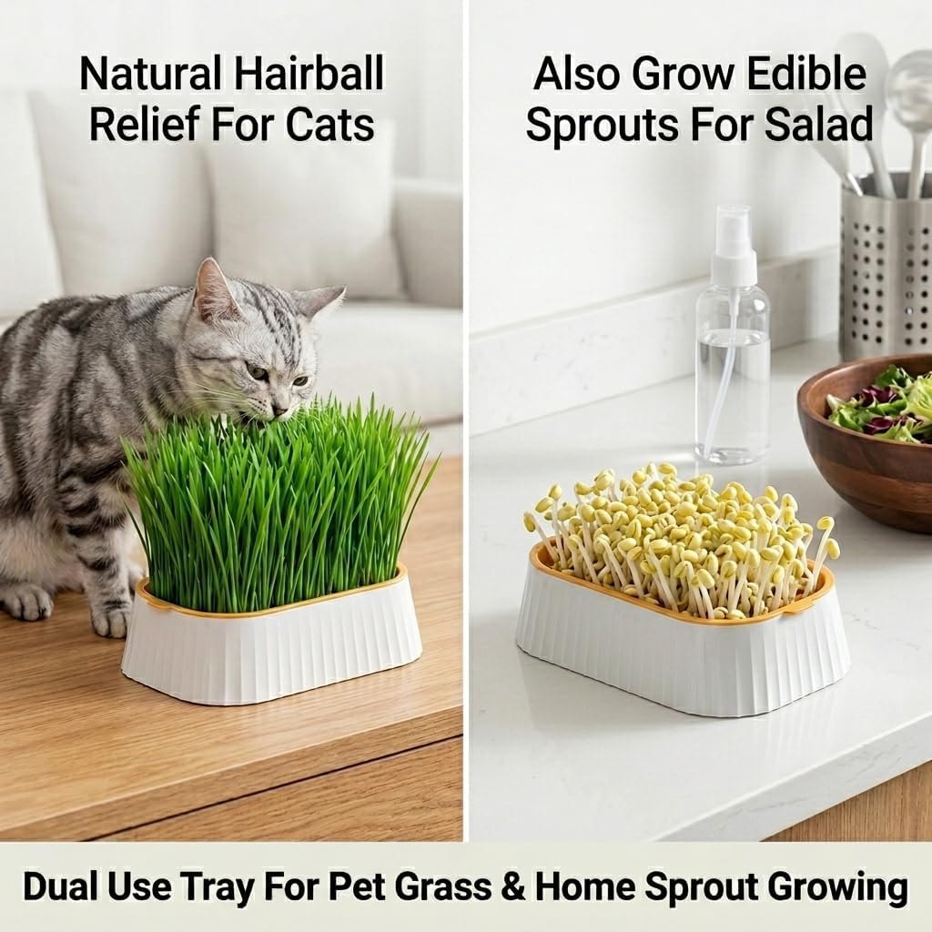 Organic Cat Grass Planter Indoor Hydroponic Wheatgrass Seed Sprout Tray image 5