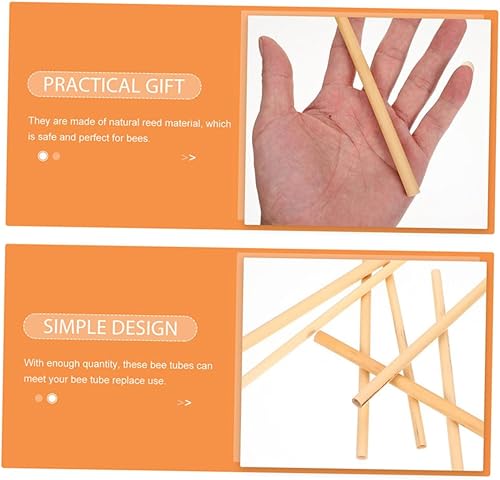 Miniatura 3 de Tubos de abeja de caña natural, 20 piezas, insertos de repuesto, suministros de apicultura para Bee House DIY