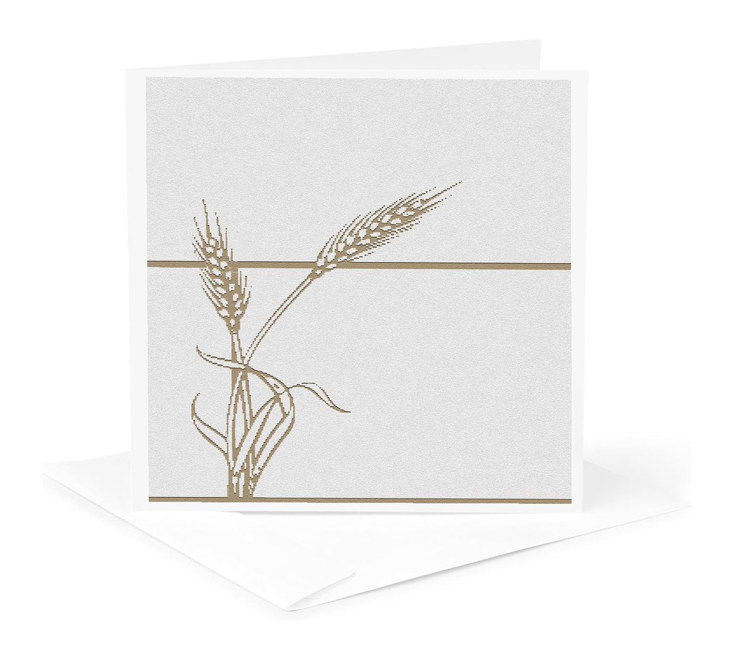 3dRose Grußkarten 'Graduation Day' Set - 6 Karten Mit Umschlägen, 14x14 Cm (5,5x5,5 Zoll)