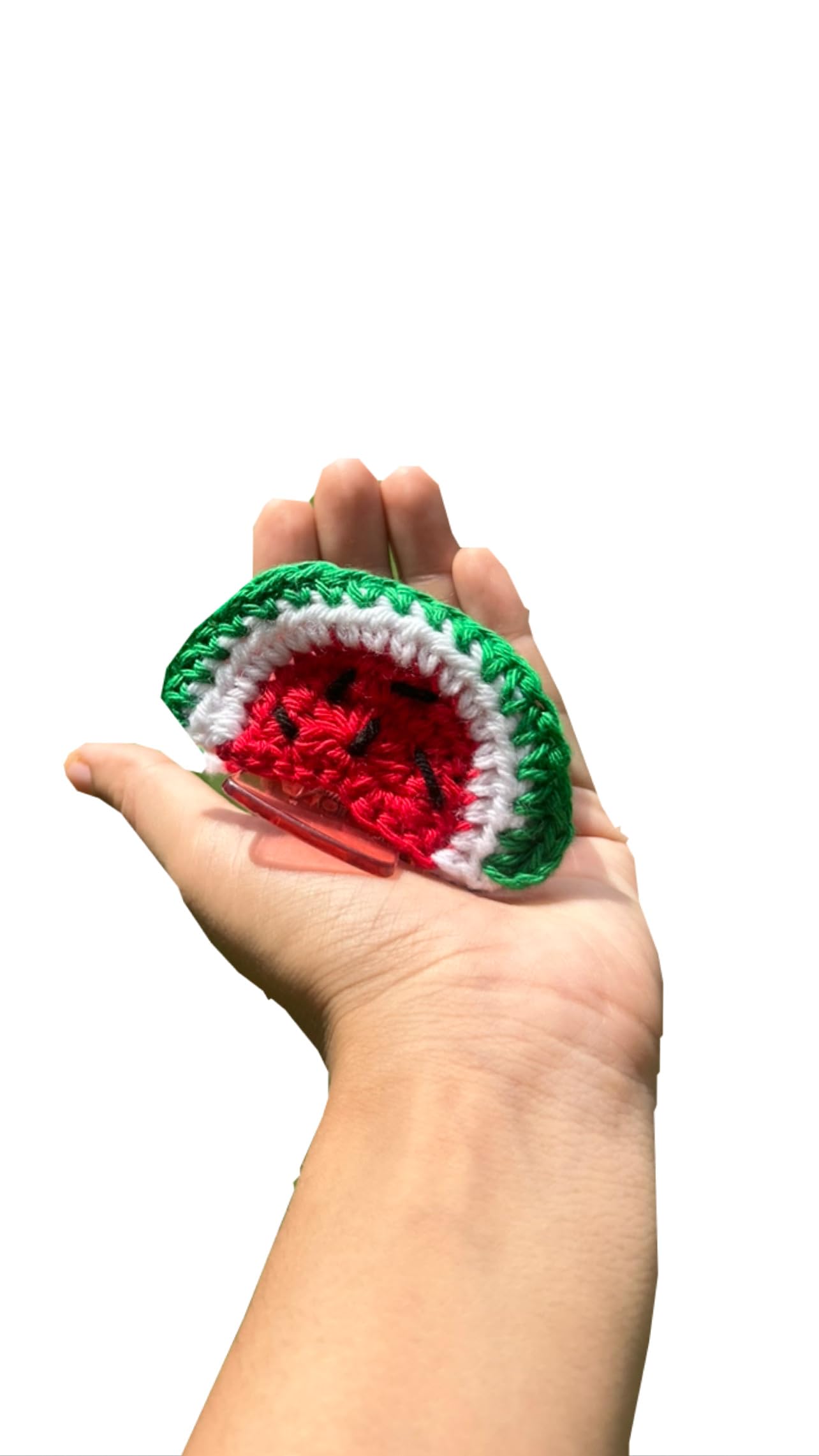 Watermelon Crochet Clutcher-image-34