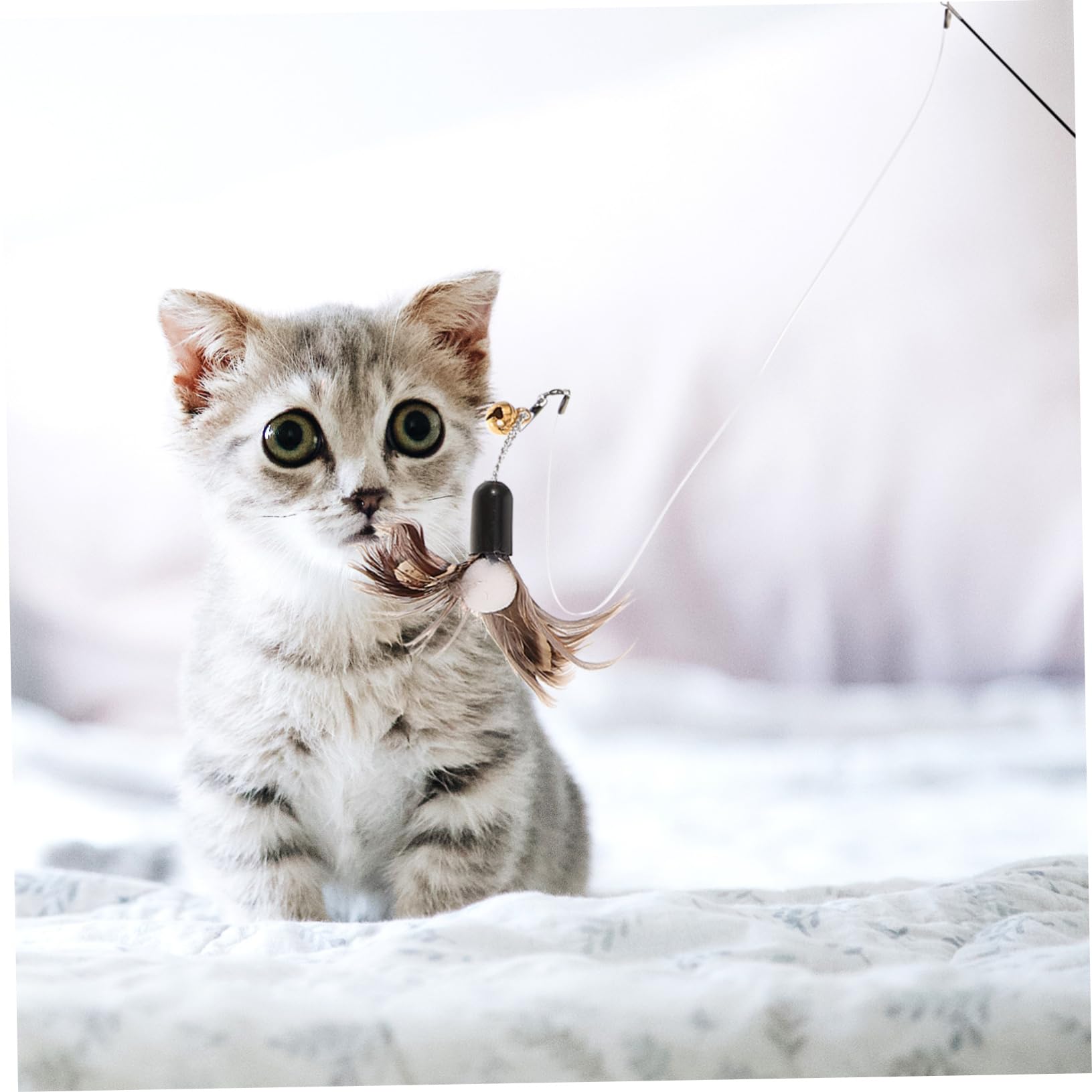 VANZACK 5 Ensembles Jouet pour Chat Interactive Cat Toy pièce jointe de Remplacement de de Chat Jouet de Chat drôle Chat Jouet Chat Teaser Jouets pour Chatons la Plume