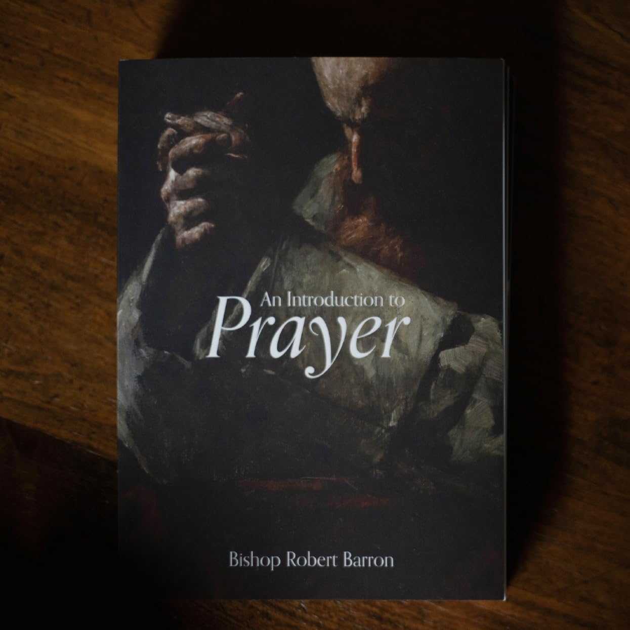 Robert Barron Biography Robert Emmet Barron Age, Family, Bio