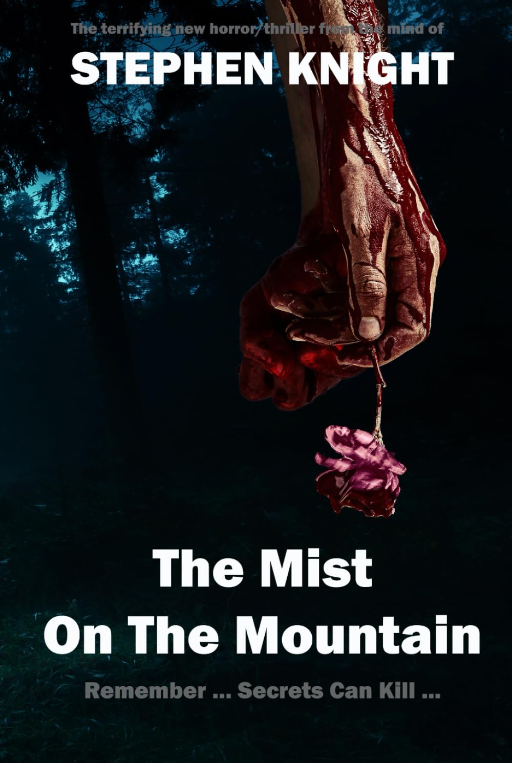 The Mist on the Mountain (The Garw Valley Murders)