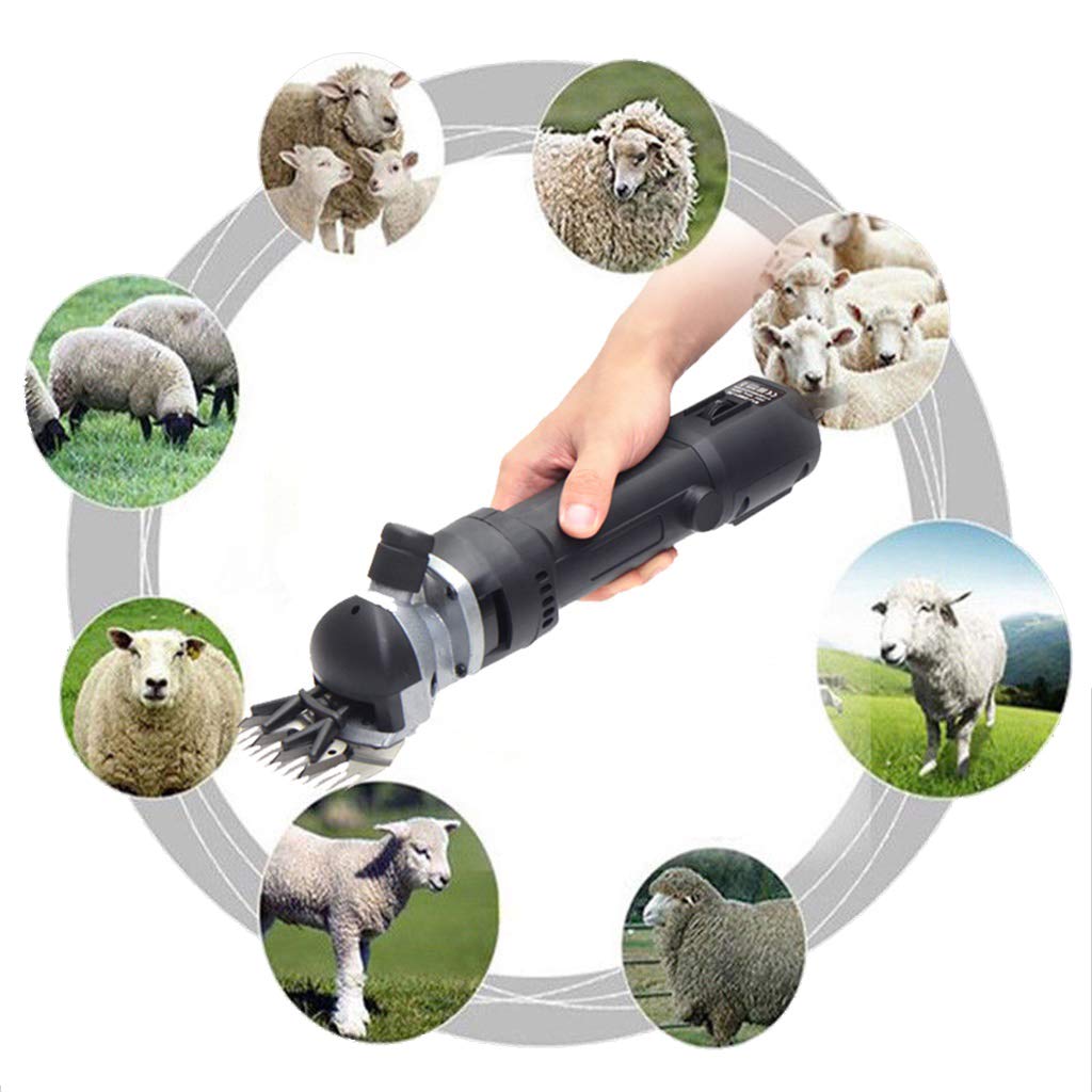ZZQ-Scissors 350W Electric Clipper Wool Shearing Animal Wool Grooming Hair Grooming Shearing Llamas, Angora Rabbits Shearing 6 Speeds With Grooming Carrying Case
