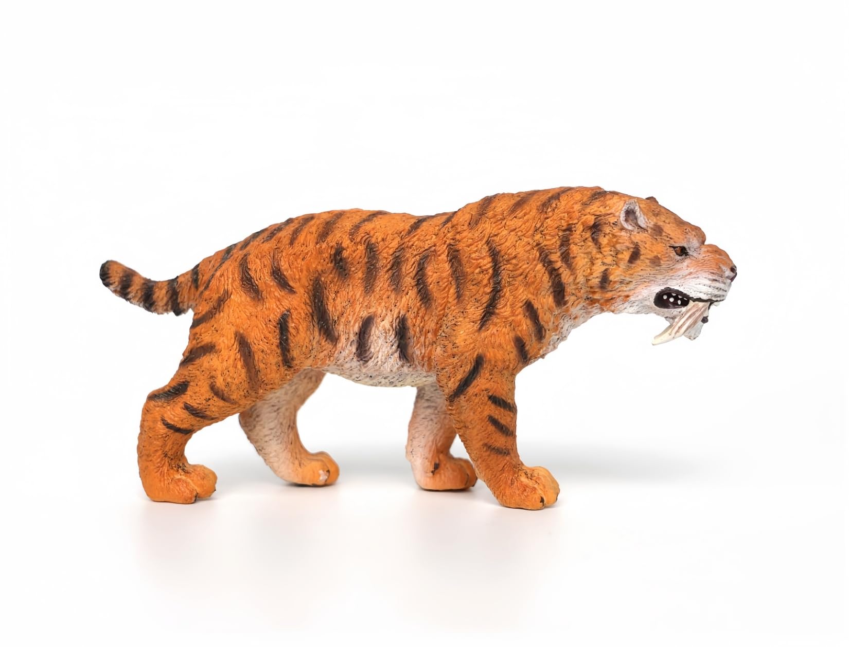 Amazon.co.jp: BACALYSO | TNG マカイロドゥス 剣歯虎 更新世 動物