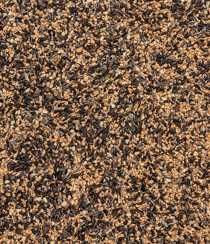 Dehner Natura Premium Wildvogelfutter, Streufutter, Ganzjahresfutter proteinreich / energiereich, hochwertiges Vogelfutter für Wildvögel, 2.5 kg