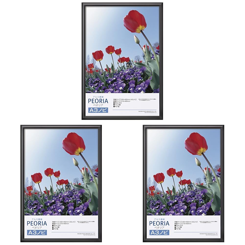 Amazon.co.jp: ハクバ 額縁 アルミ ペオリア A3ノビ サイズ ブラック