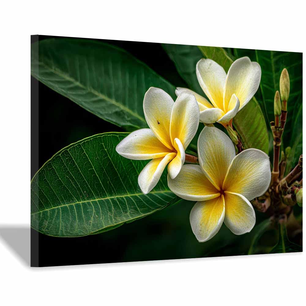 ZAMAEIU Natural Scenery Painting Three-petalled flowers Pictures Artwork, Contemporary Wall Art Large Size, Room Aesthetic Home Decor,Living Room,Bedroom(white)-30x50cm Framed