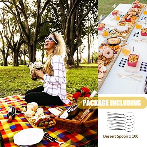 Holder Pack of 200 Mini Dessert Spoon Clear Plastic Spoons Reusable Heavy Duty Small Plastic Dessert Ice Cream Spoons Perfect for for Birthday Parties Buffets Picnics BBQ's Weddings Camping (GTVHV)