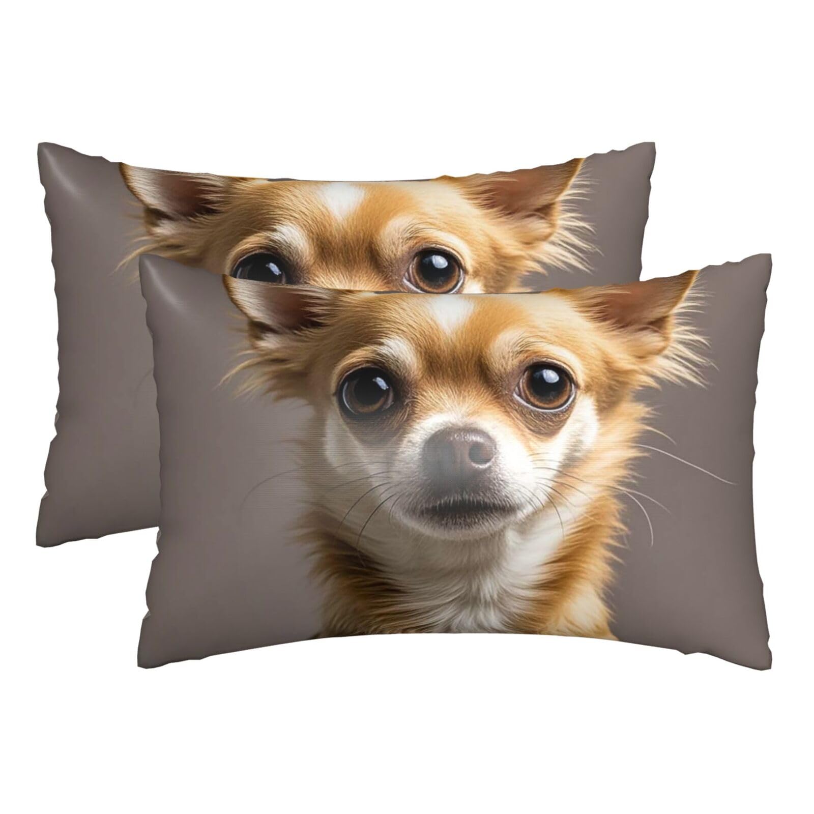 Silk Pillowcases Set of 2 Pillow Shams Breathable Soft Pillow Covers with Envelope Closure Cute chihuahua Pillowcases 20x30 Inches Washed Pillow Cases for Hair and Skin