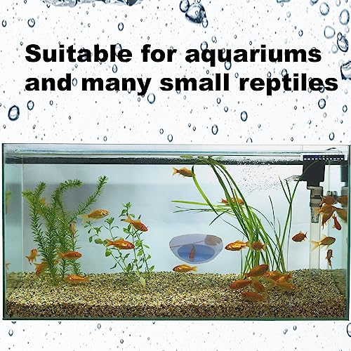 Image of 2Pcs Egg Shaped Frog Habitats with Suction Cups - Cute Frog Terrarium & Dish Holder, Ideal for Tree Frogs, Toads & Tadpoles