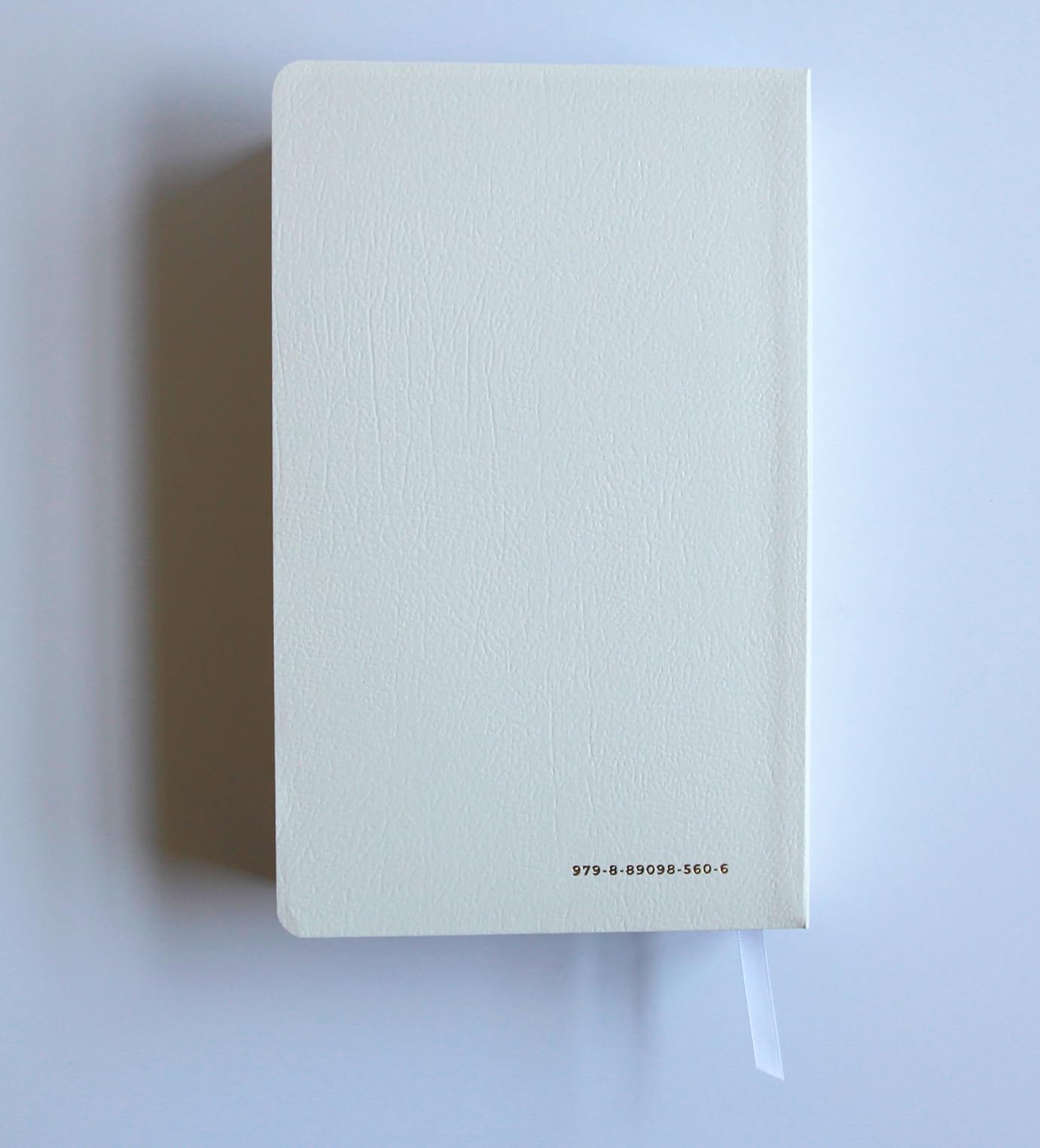 Santa Biblia/ Holy Bible: Reina Valera 1960, Blanca, Para Regalos Y Premios / Spanish Bible Rvr 1960 Gift and Award Bible White